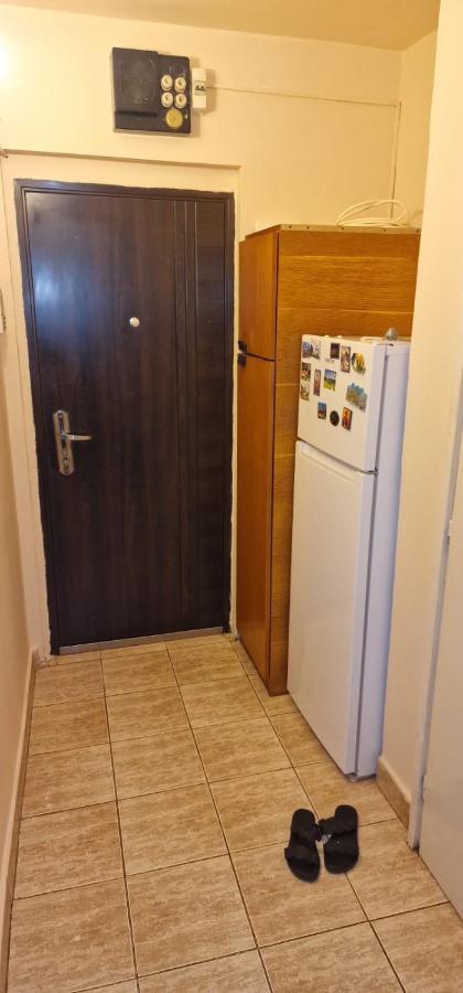 Appartamento Ioana Timisoara